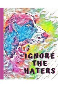 Ignore The Haters