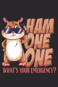 Ham One One Whats your Emergency?