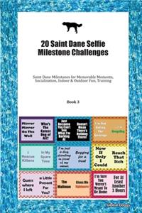 20 Saint Dane Selfie Milestone Challenges