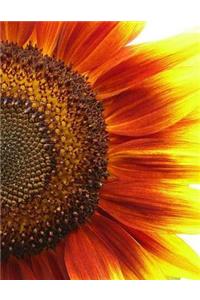 Flower Notebook Large Size 8.5 x 11 Ruled 150 Pages Softcover