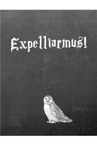 Expelliarmus!: 7.44 X 9.69 Wide Ruled Paper Notebook, Birthday, Christmas, Back to School, Quote Journal or Diary Unique Inspirational Composition Book Gift for Friend, Family, Teacher, Student, Magical or Not - Black Chalkboard White Owl