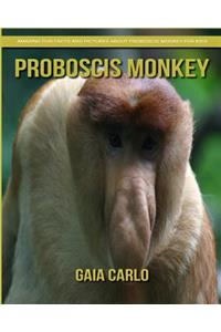 Proboscis Monkey