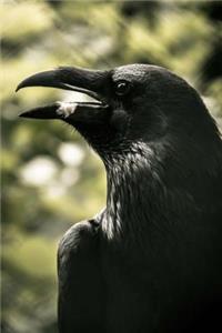 The Crows Notebook