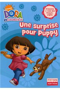 Dora Poche 4 Une Surprise Pour Puppy
