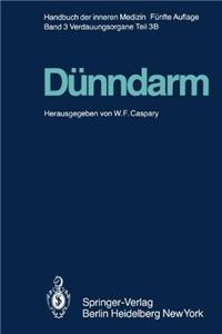 Dunndarm B
