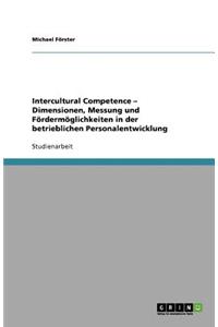 Intercultural Competence - Dimensionen, Messung und Fördermöglichkeiten in der betrieblichen Personalentwicklung