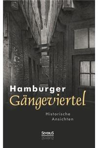 Hamburger Gängeviertel. Historische Ansichten