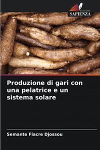 Produzione di gari con una pelatrice e un sistema solare