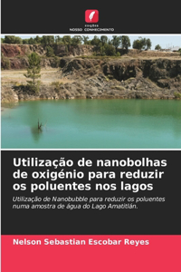 Utilização de nanobolhas de oxigénio para reduzir os poluentes nos lagos
