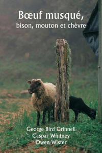 Boeuf musqué, bison, mouton et chèvre