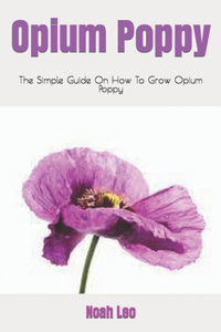 Opium Poppy