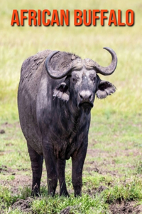 African Buffalo: Learn About African Buffalo and Enjoy Colorful Pictures