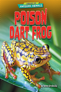 Poison Dart Frog