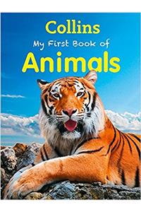 XMY FIRST BOOK OF ANIMALS