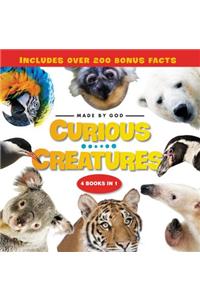 Curious Creatures
