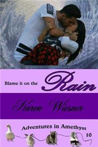 Blame it on the Rain, Adventures in Amethyst Series, Book 10