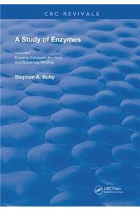 Study of Enzymes