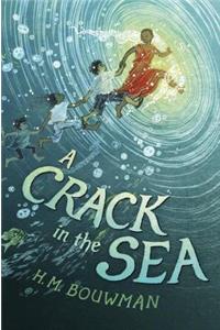 A Crack in the Sea