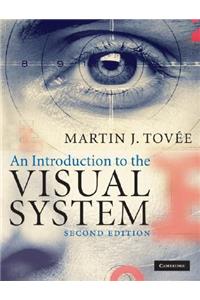 Introduction to the Visual System