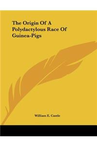 The Origin Of A Polydactylous Race Of Guinea-Pigs