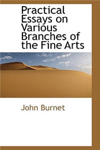 Practical Essays on Various Branches of the Fine Arts