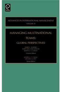 Managing Multinational Teams