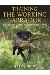 Training the Working Labrador