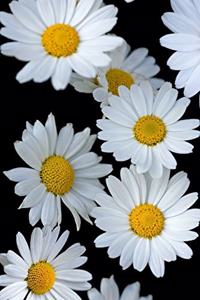 Darling Daisy Blossoms Journal