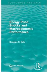 Energy Price Shocks and Macroeconomic Performance