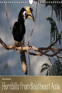 Hornbills from Southeastern Asia 2016