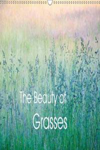 The Beauty of Grasses 2017