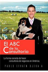 ABC de La Consultoria