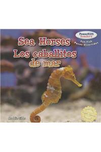 Sea Horses / Los Caballitos de Mar