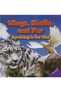 Wings, Shells, and Fur: Surviving in the Wild