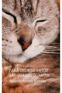 Para Onde Os Gatos Vão Quando Dormem