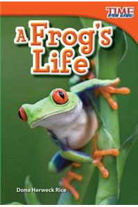 A Frog's Life (Library Bound)