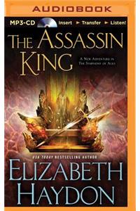 Assassin King