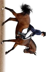 Dressage Horse and Rider Ready for the Show