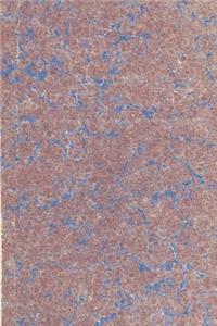 Journal Abstract Old Fashioned Marbleized Design
