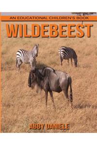 Wildebeest! An Educational Children's Book about Wildebeest with Fun Facts & Photos