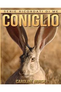 Coniglio