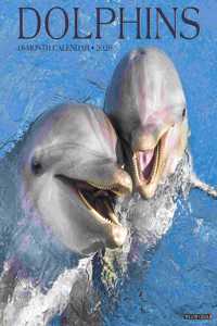 Dolphins 2020 Wall Calendar