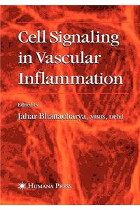 Cell Signaling in Vascular Inflammation