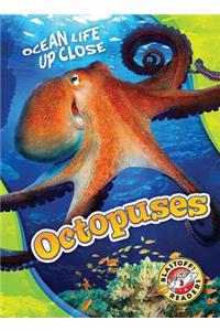 Octopuses