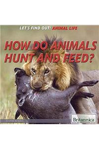 How Do Animals Hunt and Feed?