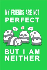Notizbuch My friends are not perfect but i am neither grün