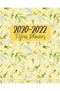 2020-2022 3 Year Planner