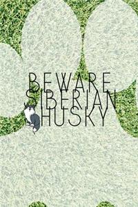 Beware Siberian Husky