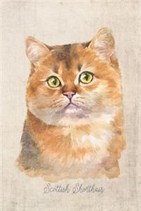 Scottish Shorthair Cat Portrait Notebook