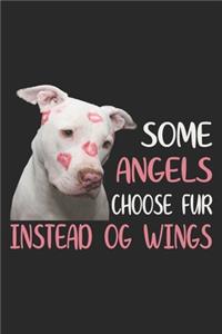 Some Angels Choose Fur